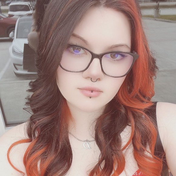 Meet your Posher, Daisy - Picture 1 of 1